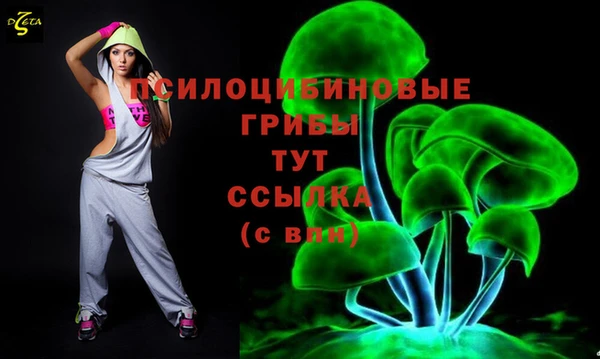 дживик Бронницы