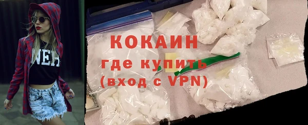 амф Бородино