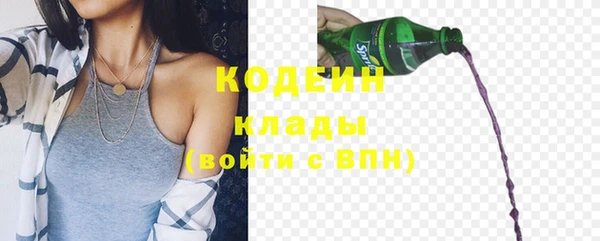 амф Бородино