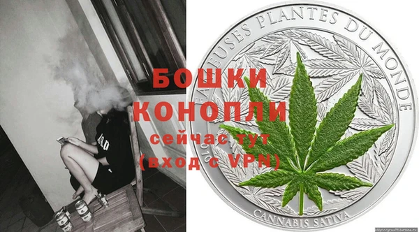 амф Бородино