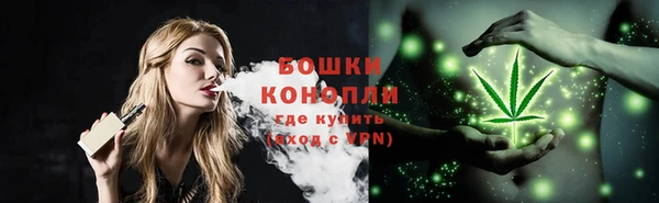 дживик Бронницы