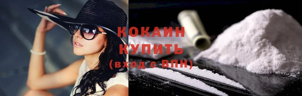 дживик Бронницы