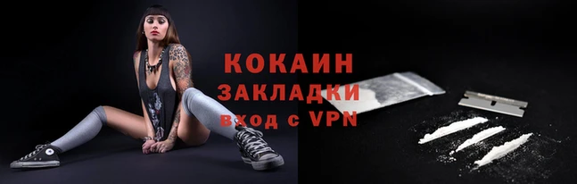 амф Бородино