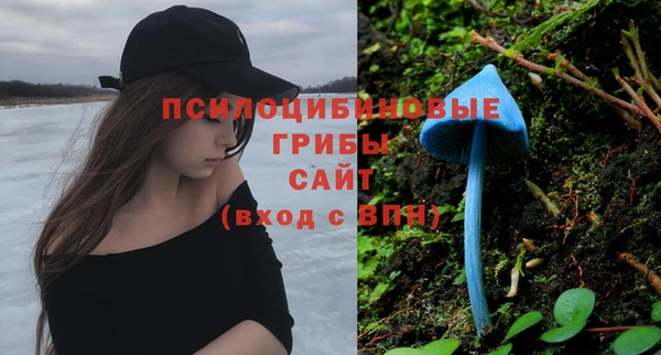 дживик Бронницы