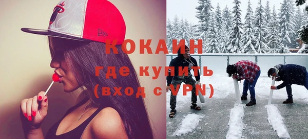амф Бородино