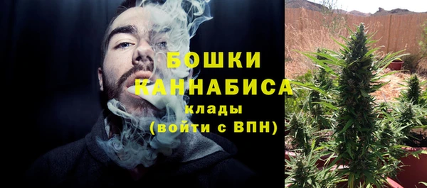 дживик Бронницы