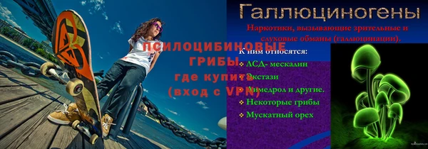дживик Бронницы