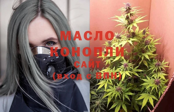 дживик Бронницы